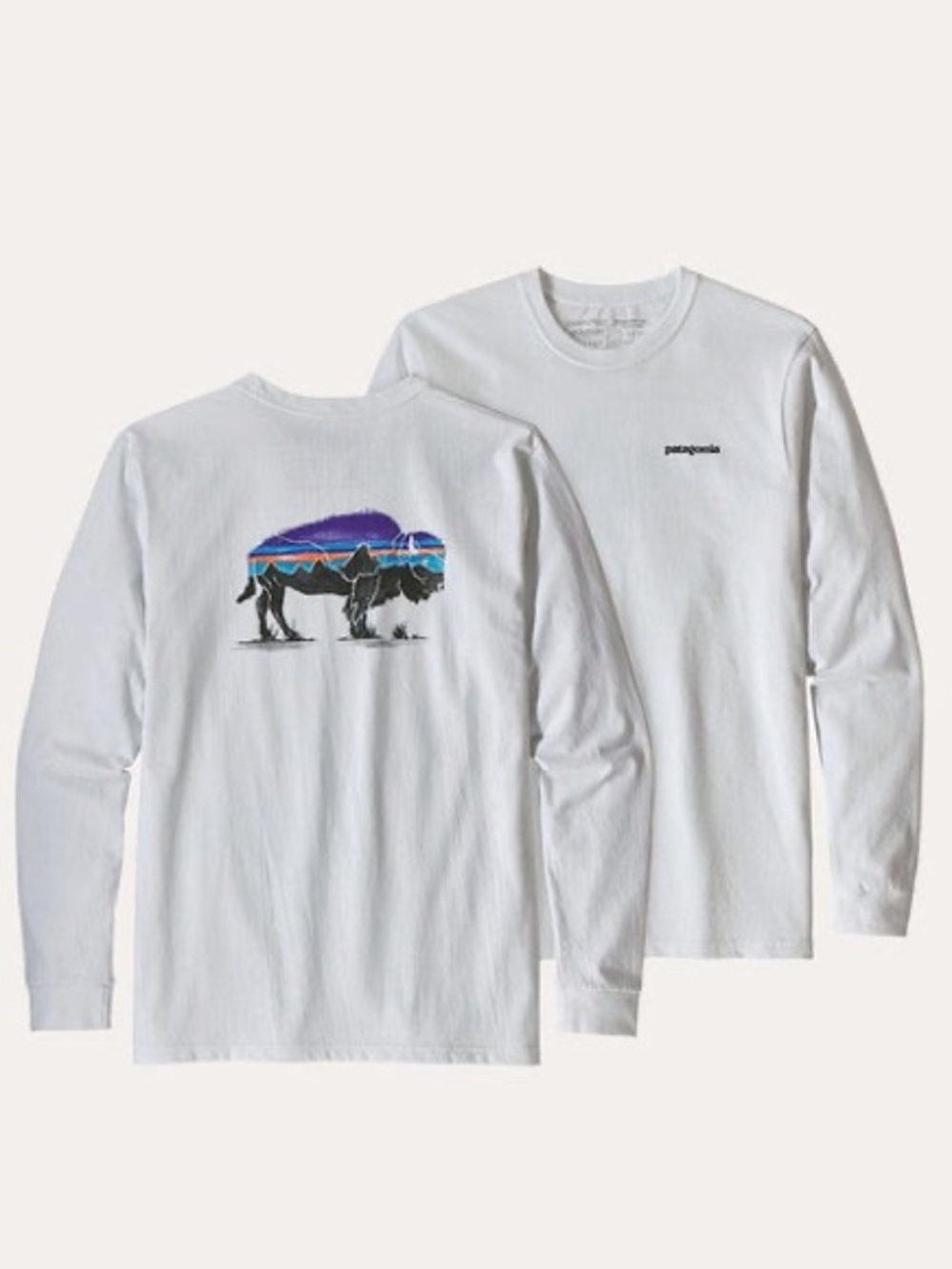 Patagonia White Long-Sleeve Fitz Roy Bison shirt